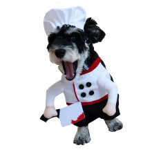 Breathable Dog Chefs Costume Comical Kitchens Uniform Photo-M
