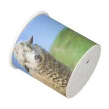 Animal Recognition Electric Sound Maker Toy Simulated Sheep Sound Prank Toy