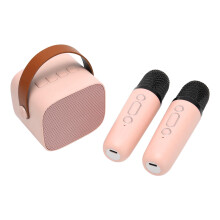 Karaoke Machine with 2 Wireless Microphones, Portable BT 5.3 Speaker for Home Party (Light Red)