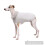 Fellweste für Hunde, dicker Mantel, Pullover, Kleidung,-Lila XL 6