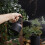 304 Stainless Steel Watering Can Ergonomic Handle-Silver 5