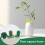 Piquet décoratif de Support de plante d'éléphant,-transparent 6