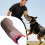 Dog Bite Sleeve for Training German Shepherd Malinois, TearResistant Protective Arm Sleeve 2