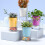 Automatic Watering Decorative Planter For Indoor-Light Green 7