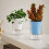 Automatic Watering Decorative Planter For Indoor-Light Green 3