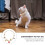 1Stk Exquisites Hundehalsband Mit , Verstellbar Und 10