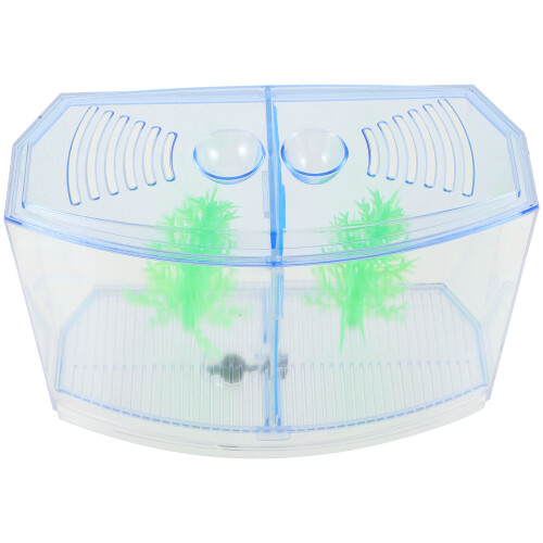 3Pcs Transparent Blue Plastic Fish Breeding Box with Removable Divider 1