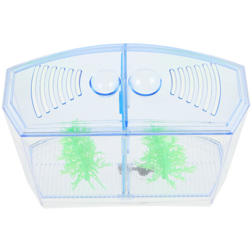3Pcs Transparent Blue Plastic Fish Breeding Box with Removable Divider 2