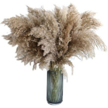 Natural Dried Flowers For Home Decor, South American Grass Brown, Unique Gift For Holidays, Dried Floral Arrangements, Perfect For Table Decor, Weddin