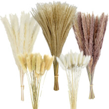 Natural Dried Boho Flowers, Wedding Decoration Exotic Charm Dried Pampas Grass For Home Table Decor, 100PCS White Dried Floral Arrangements, Fluffy An