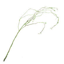 Decorazione Vite Finta Verde Per Terrari E Rettili