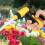 Spray Pattern Innovator, Heavy Duty Garden Hose Nozzle With Retractable Design For Versatile Functionality, Adjustable Water Flow For Optimal Use In 4