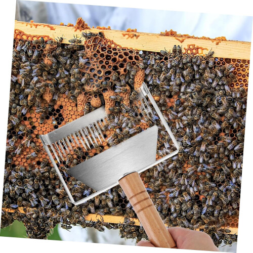1 piece stainless steel honey cutter with antislip grip, practical beekeeping tool 2