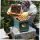 1 piece stainless steel honey cutter with antislip grip, practical beekeeping tool 5