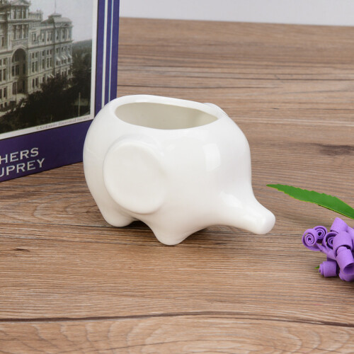 Γλάστρα για παχύφυτα με τρύπα αποστράγγισης, σετ γλάστρες ελέφαντα για 1