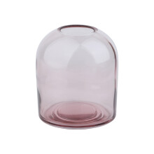 Glass Vase For Flowers Fresh And Natural Fragrance Clear Glass Bud Vase With Smooth Round Bottle Mouth Simple Retro Style Suitable For Small Flower Bu