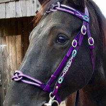 Horse Bridle Adjustable Harness Purple 10cm Headcollar Halter Equestrian Accessories