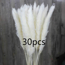 Flori naturale uscate, iarbă cu coadă de iepure pentru decor vintage boho, cutie protectoare care asigură că nu există mizerie, nu necesită
