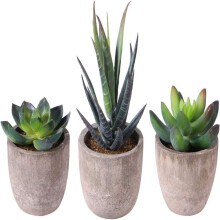Regalo ideale: succulente artificiali, non necessitano di manutenzione. Mini succulente finte per ufficio, colori vivaci e aspetto realistico, adatte
