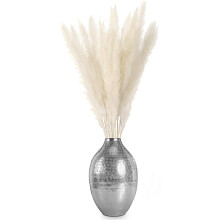 Elegant pampasgras voor in huis, echte gedroogde bloemen met warme kleuren, prachtig pluizig in de zon, perfect voor vloervazen en de woonkamer.