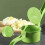 Manual Salad Spinner Vegetable Washer with 1.2L Capacity, Efficient Water Squeezing for Kitchen 4