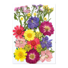 Natural Dry Flowers Leaves for Soap Candle-colored flower field