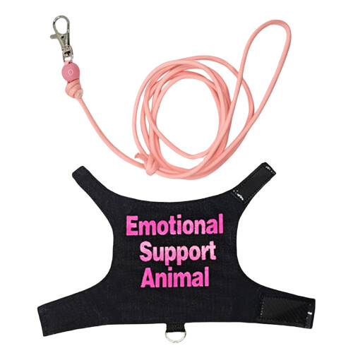 Regulable Lizards Harnesses Set Outdoor Walking Leashes- pink