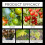 Growth Support Nutrient Organic Fertilizers For Night Use 5
