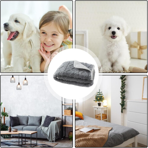 Plush Pet Blanket Multifunctional Sleeping Blanket For Bedding And Sofa Soft Plush Fabric 2