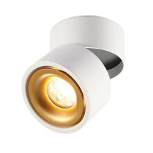 LED Recessed Accent Lighting Fixture, Gallery Picture Lighting, Directional Spotlights 6000K 12W