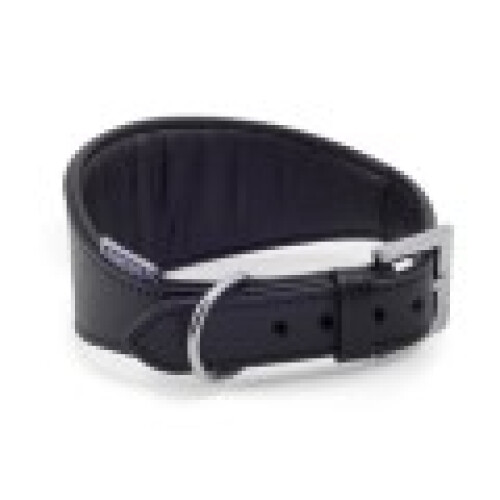 Ancol Whippet Padded Leather Collar, 35 cm, Black 2