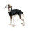 Ancol Muddy Paws Whippet Coat Black 53cm 2