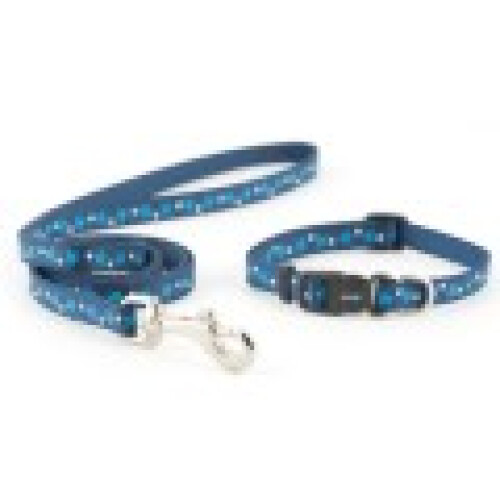 Ancol Small Bite Collar & Lead Set Stars Blue 1