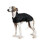 Ancol Muddy Paws Whippet Coat Black 53cm 3