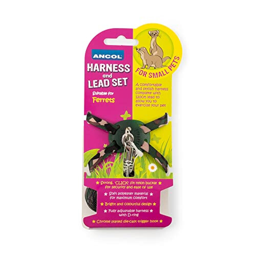 Ancol Ancol Ferret Harness and Lead 2