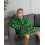 Minecraft Minecraft Blanket Hoodie (Boys Green) 2