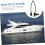 Marine Boat Engine Flush Metal Tool Cleaner 2