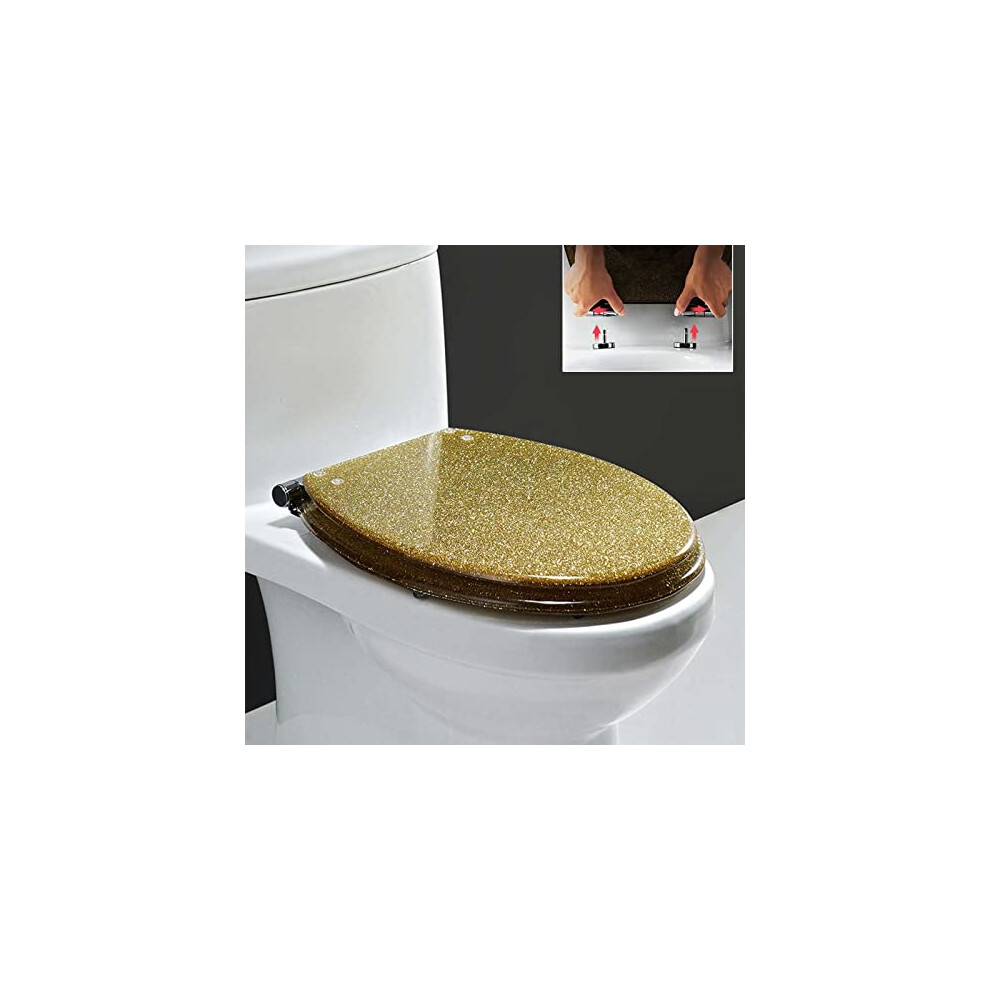 Toilet Seat Glitter Soft Close With Quick Release 360Degree Adjustable Hinges Fix Bottomfix Fittings Single Color 9189345149382