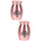 2Stk Haustier Urne Robust Tierasche Aufbewahrung 7