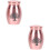 2Stk Haustier Urne Robust Tierasche Aufbewahrung 6