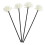 8St Diffuser Sticks Bloemvorm Wit Voor Woonkamer En Slaapkamer 9