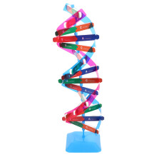 4Sets Lehrmodell Dna Doppelhelix Metall Für Schule