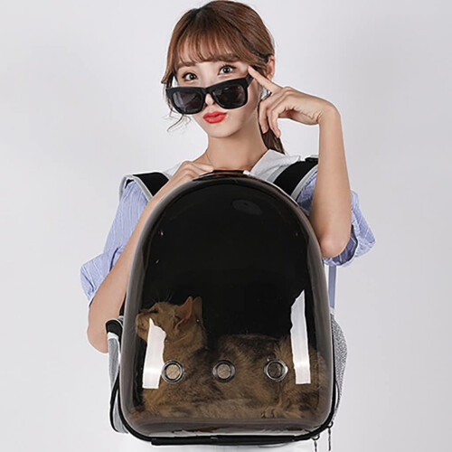 Cat Backpack Carrier with Space Capsule Design, Transparent Hard Shell, Ventilated for Hiking 1