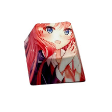1PC PBT Sublimation Mechanical Keyboard Keycap R4 Height for-1