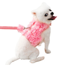 Jupe de printemps avec laisses pour petit chien, robe en-S 1