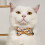 Flower Printed Cat Collar Bowknot Decors Adjustable-Black 4