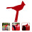 2Pz Decorazione Rosso, Decorativa Per Giardino E Esterni 9