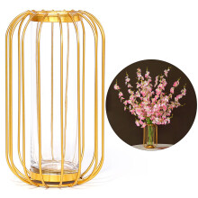 Test Tube Glass Flower Vase, Lantern Shape Test Tube Vase Metal Rack Stand Clear Vase Simplicity for Home Office Wedding Decor (Gold)