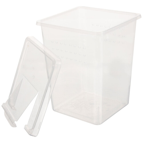 3Pz Box Trasparente Per Alimenti Rettili Con Foro Traspirante 1