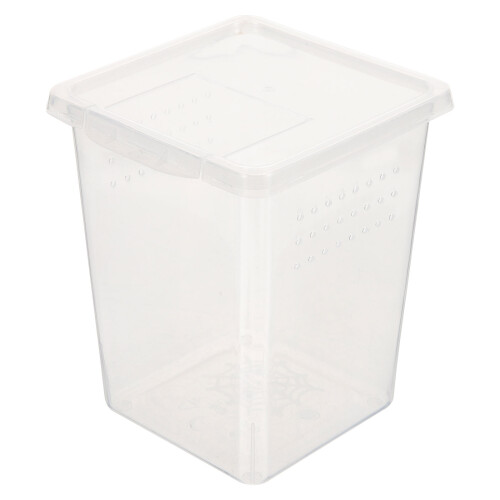 3Pz Box Trasparente Per Alimenti Rettili Con Foro Traspirante 2